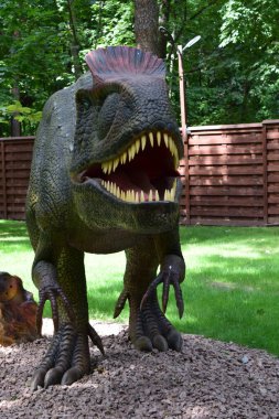 DINO PARK, KHARKOV - 8 AĞUSTOS 2021: Parktaki krilophosaurus Dinozor heykeli görüntüsü. Tarih öncesi hayvanlar milyonlarca yıl önce dünyada yaşamış..