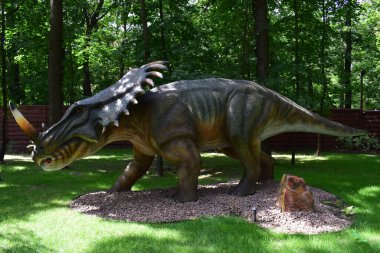 DINO PARK, KHARKOV - 8 Ağustos 2021: Parktaki güzel dinozor heykeli manzarası. Tarih öncesi dinozor stiracosaurus 'un doğadaki büyük modeli. Gerçekçi bir manzara.
