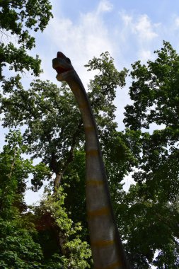 DINO PARK, KHARKOV - 8 Ağustos 2021: Parktaki güzel dinozor heykeli görüntüsü. Brachiosaurus gerçekçi bir model. Kafası dinozora yakın. Tarih öncesi dinozor Brachiosaurus 'un büyük modeli.