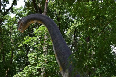 DINO PARK, KHARKOV - 8 Ağustos 2021: Parktaki güzel dinozor heykeli görüntüsü. Brachiosaurus gerçekçi bir model. Kafası dinozora yakın. Tarih öncesi dinozor Brachiosaurus 'un büyük modeli.