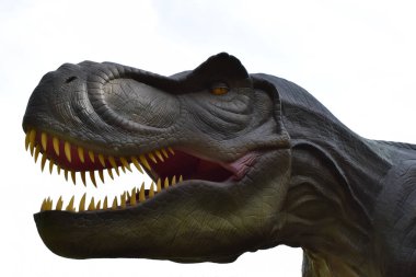 DINO PARK, KHARKOV - 8 Ağustos 2021: Parktaki güzel dinozor heykeli manzarası. Tyrannosaurus - tarih öncesi çağ dinozoru dişlek ağzını gösteriyor.