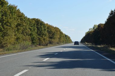 Yazın kır yolu manzarası. Boş asfalt yolu ve yeşil çay tarlası doğa manzarası..