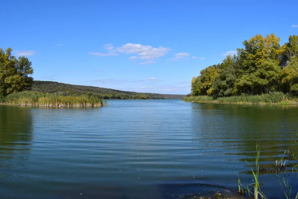 Krásný Výhled Klidné Jezero Čistá Svěží Příroda Nedotčená Les Pozadí — Stock fotografie