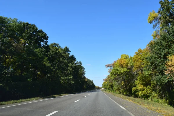 Krajobraz Country Road Lecie Puste Asfaltowej Drogi Zielonej Plantacji Herbaty — Zdjęcie stockowe