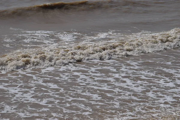 亚速海的海水农奴 是夏日阳光明媚的黏土海岸 — 图库照片