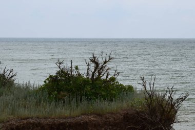 Güneşin batışı çimenlerin arasından parlar manzaralı bulutlu pastel gökyüzü ile. Denize yaz tatili seyahati. Yeşillik, tepeler ve dalgalar akşam ışığında.