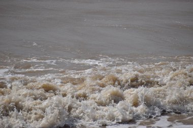 Azov Denizi 'nin deniz kölesi, yazın güneşli bir günde kil kıyısı..