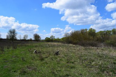 Kırsal bölgedeki vahşi çayır. Kırsal yetiştirme. Bahar mevsimi, ağaçlar ve yabani bitkiler. Sakin sakin köy çayırı manzarası. Yerel seyahat kavramı.