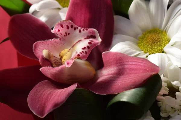 菊花兰花花束的选择焦点为粉红色 花店的概念 漂亮的新鲜花束 紫色万达兰花和白色菊花群 — 图库照片