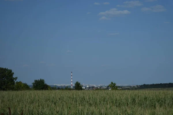 Torre Fábrica Industrial Emissão Chaminé Planta Refinaria Com Tubos Planta — Fotografia de Stock