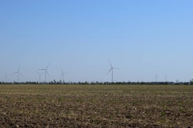 Renkli bir akşam gökyüzünün önünde bir yel değirmeni tarlası dönüyor. Bir rüzgar türbini elektrik üretmek için kullanılır. Rüzgar enerjisi elektrik enerjisi için rüzgarın kullanılmasıdır. Sürdürülebilir, yenilenebilir bir enerji.