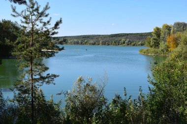 Sakin bir göl üzerinde güzel bir manzara. Temiz, taze doğa, dokunulmamış. Arka planda orman var. Ulusal rezerv. Güzel göl, sakin mavi su, büyük yeşil ağaçlar, mavi gökyüzü. Sonbaharda güneşli bir gün.
