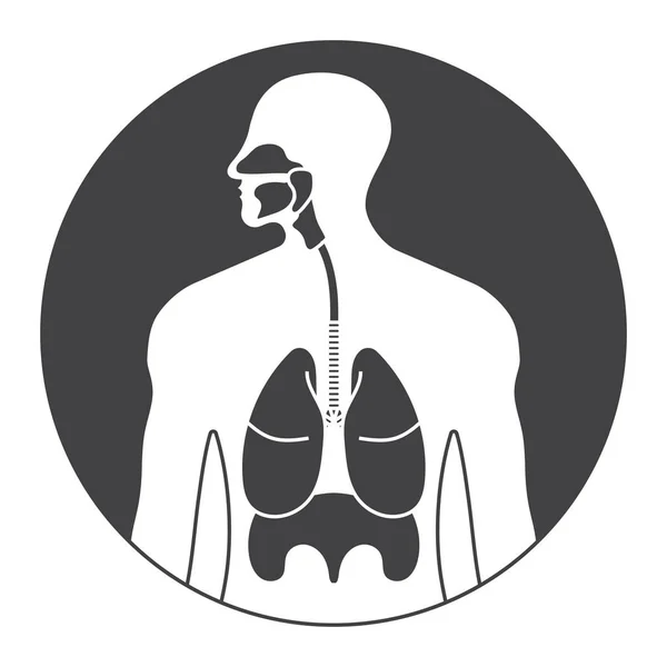 Abgerundet Die Menschlichen Atemwege Oder Atemwege Flaches Symbol Für Apps — Stockvektor