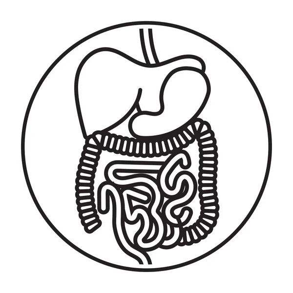 Kerekített Emberi Emésztőrendszer Szervek Vonal Művészet Vektor Ikon Alkalmazások Weboldalak — Stock Vector