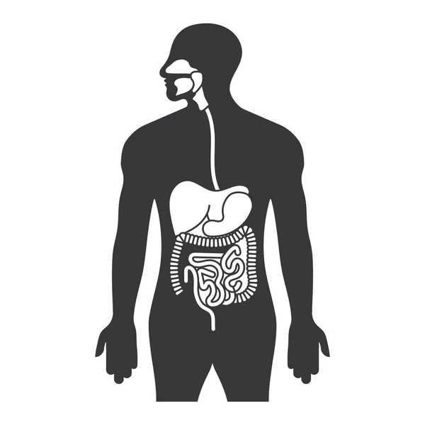 Uygulamalar ve web siteleri için insan gastrointestinal yolu veya sindirim sistemi düz simgesi