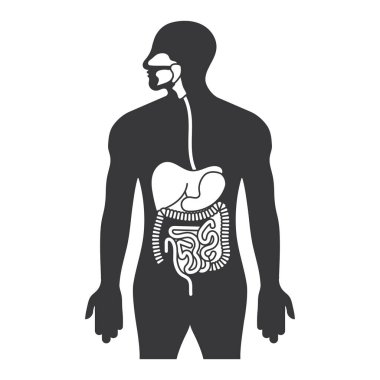 Uygulamalar ve web siteleri için insan gastrointestinal yolu veya sindirim sistemi düz simgesi