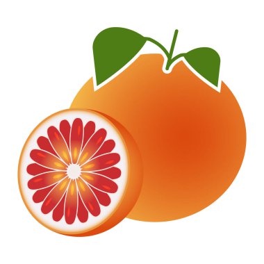 pomelo and sliced grapefruit flat color for apps and websites clipart