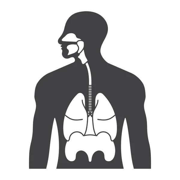 Sistema Respiratorio Humano Tracto Respiratorio Icono Vector Plano Para Aplicaciones — Archivo Imágenes Vectoriales