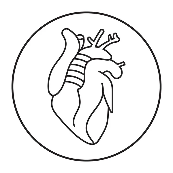 Круглый Человеческого Сердца Внутренних Органов Линии Икона Искусства Приложений Веб — стоковый вектор