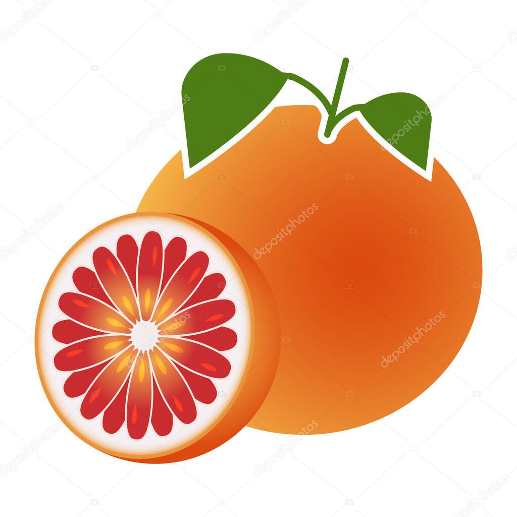 pomelo and sliced grapefruit flat color for apps and websites