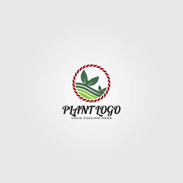 Szablon Logo Rolnictwa Logo Wektora Dla Biznesu Charakter Roślina Drzewo — Wektor stockowy