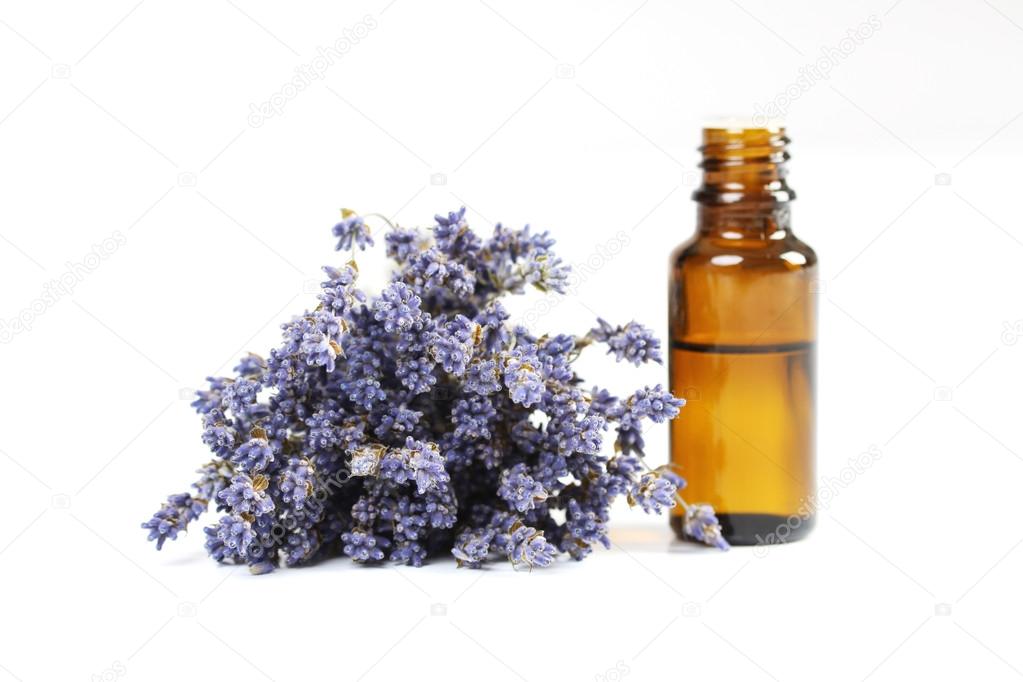 Lavender and essential oil on white background