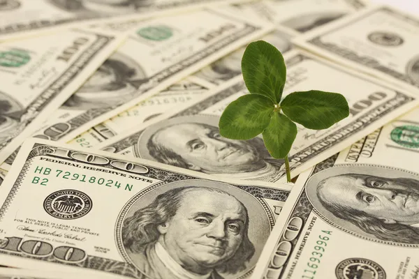 米ドル - 水平の束に成長している四つ葉クローバー — ストック写真