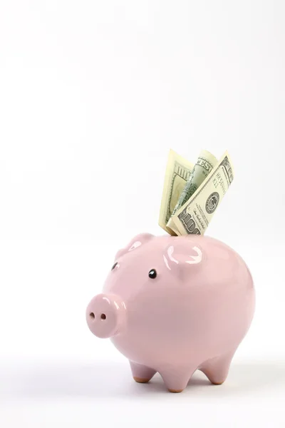 Piggy salvadanaio stile money box con cento dollari che cadono in slot su uno sfondo bianco studio — Foto Stock