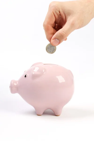 Spardose im Sparschweinstil mit einem Euro in Schlitz auf weißem Hintergrund — Stockfoto
