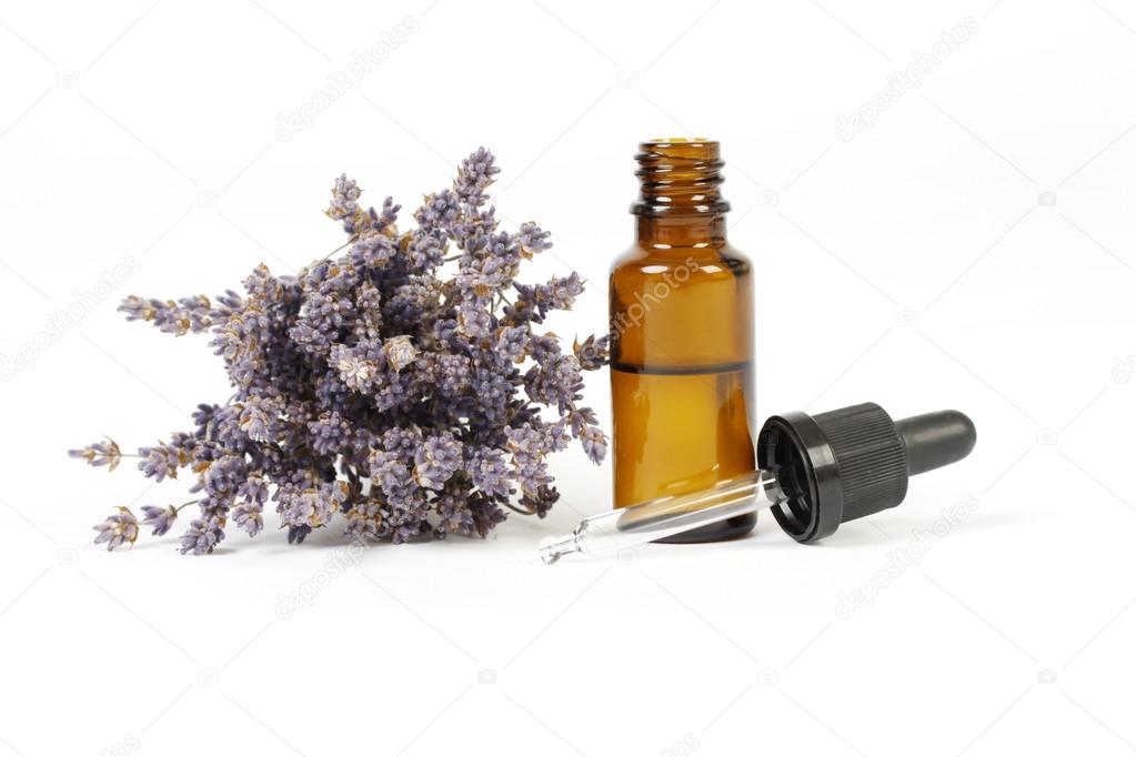 Dried lavender and essential oil in little bottle on white background