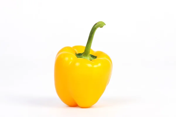 One fresh yellow pepper on white background — Stock Photo, Image