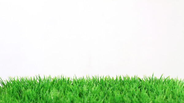 Полоса свежей зеленой травы на белом фоне
