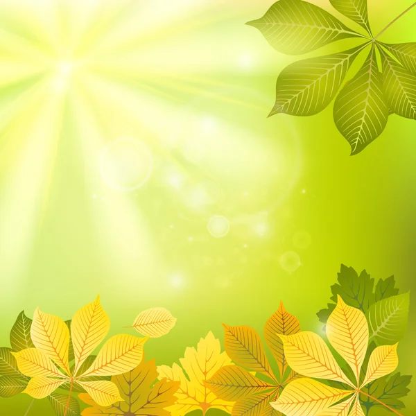 绿色和黄色的秋天背景 — 图库矢量图片