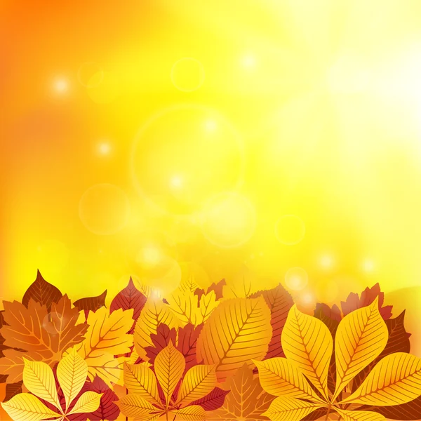 Red and yellow autumn leaves — Stock Vector