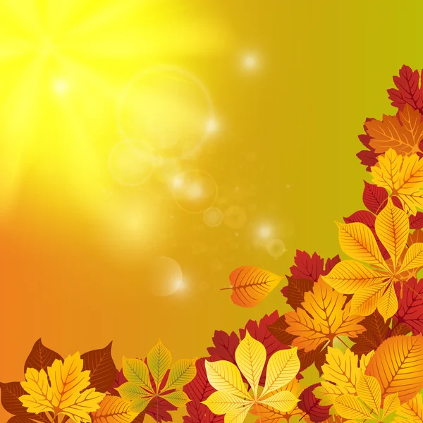 Folhas de outono vermelhas e amarelas — Vetor de Stock