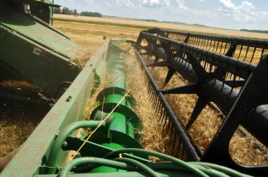 bir tane kamyon yükler