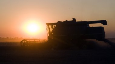 Combine buğday sıcak yaz akşamı kaldırır.