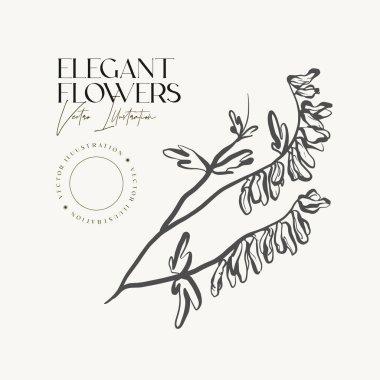 Zarif El eskiz bitkileri ya da çiçekleri çizer.