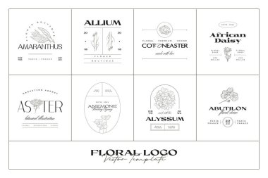 Markalaşma için klasik çiçek logo şablonu koleksiyonu çizimi