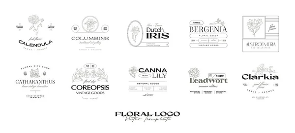 Vintage Flor Logotipo Modelo Coleção Ilustração Para Branding —  Vetores de Stock