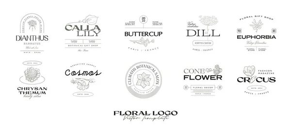 Vintage Flower Logo Modello Collezione Illustrazione Branding — Vettoriale Stock