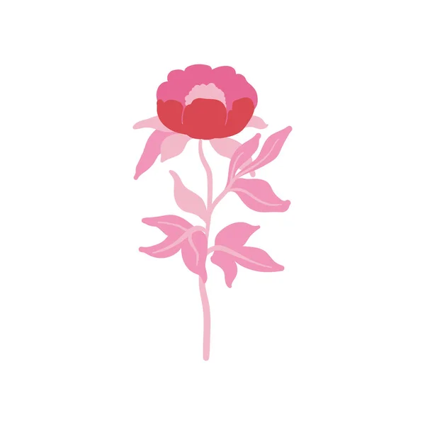 Růžové Květinové Prvky Květinové Zelené Listy Moderní Trendy Matisse Minimální — Stockový vektor