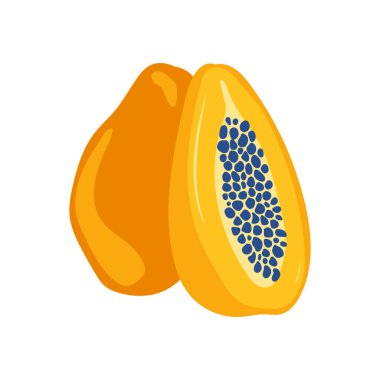 Papaya. Tropik meyve ve grafik tasarım elementleri. İçindekiler renk klipsleri. Sketch tarzı smoothie veya meyve suyu içeriği.