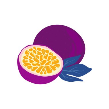 Tutku Meyvesi. Tropik meyve ve grafik tasarım elementleri. İçindekiler renk klipsleri. Sketch tarzı smoothie veya meyve suyu içeriği.