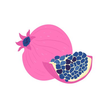 - Nar. Tropik meyve ve grafik tasarım elementleri. İçindekiler renk klipsleri. Sketch tarzı smoothie veya meyve suyu içeriği.