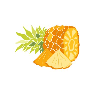 Ananas. Tropik meyve ve grafik tasarım elementleri. İçindekiler renk klipsleri. Sketch tarzı smoothie veya meyve suyu içeriği.