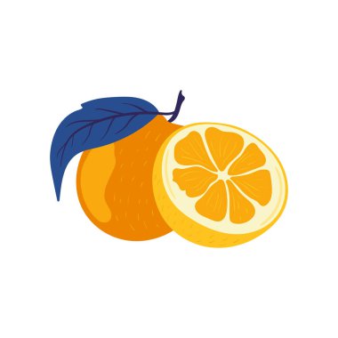 Turuncu. Tropik meyve ve grafik tasarım elementleri. İçindekiler renk klipsleri. Sketch tarzı smoothie veya meyve suyu içeriği.