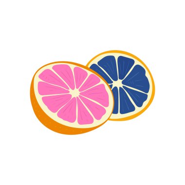 Grapefruit. Tropical fruit and graphic design elements. Ingredients color cliparts. Sketch style smoothie or juice ingredients. vector