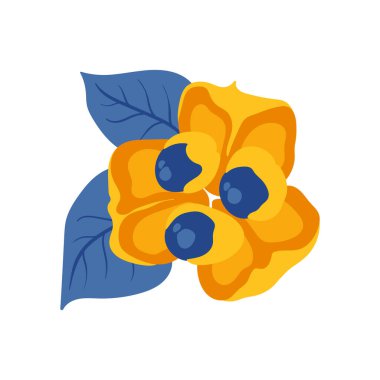 Ackee. Tropik meyve ve grafik tasarım elementleri. İçindekiler renk klipsleri. Sketch tarzı smoothie veya meyve suyu içeriği.