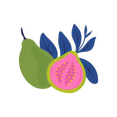 Guava. Tropik meyve ve grafik tasarım elementleri. İçindekiler renk klipsleri. Sketch tarzı smoothie veya meyve suyu içeriği.